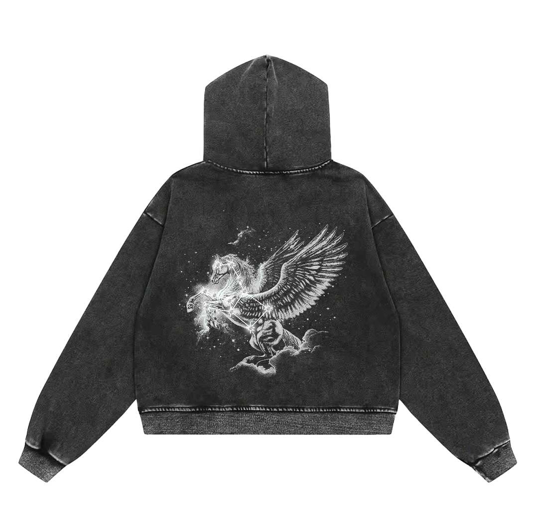 Floor 914 Pegasus Zip Up-Empxre Boutique